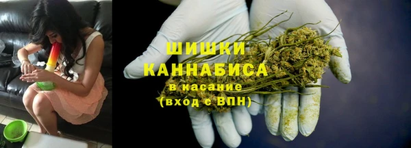 PSILOCYBIN Богородск